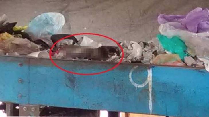 Imagen de bebé hallada muerta en basurero de Oaxaca