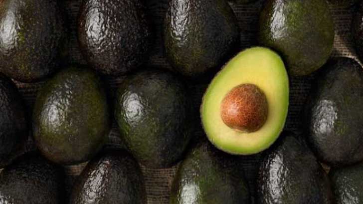 Aguacate Mexicano