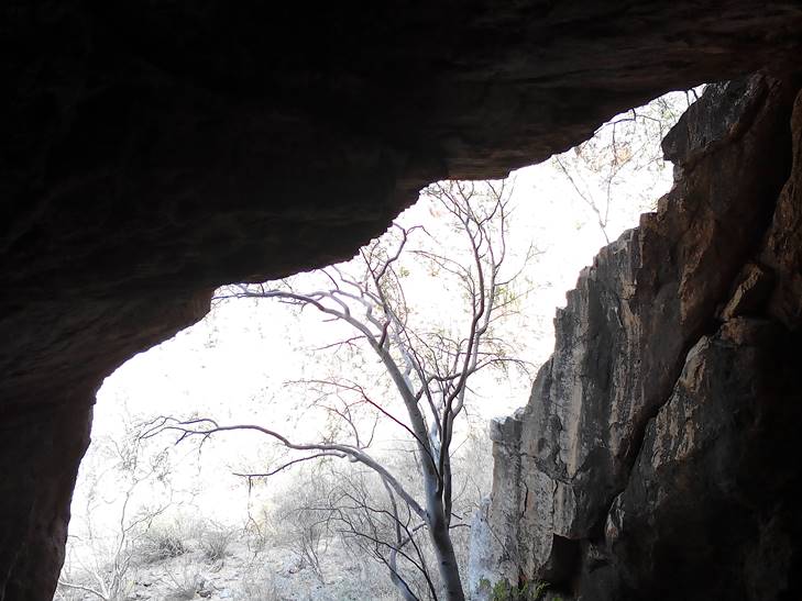más cuevas en hermosillo