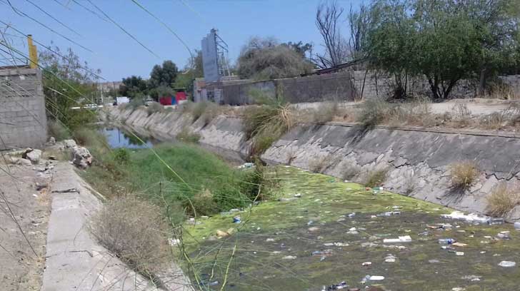 canal dengue mariachi