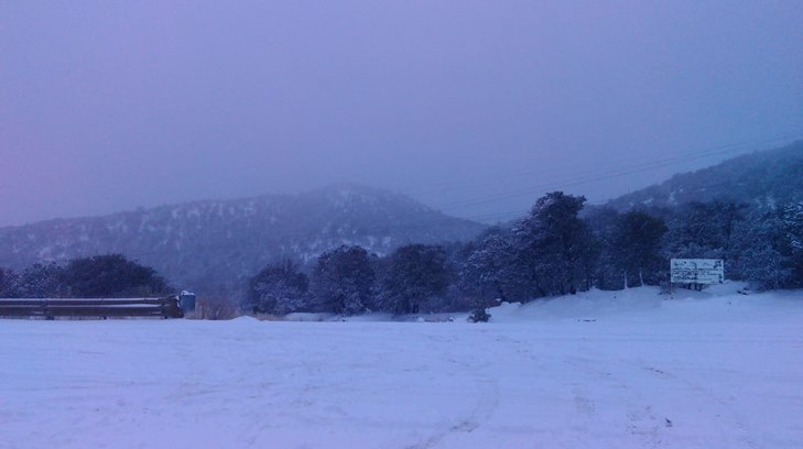 nevadas en nogales dos