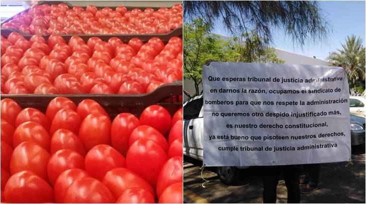 tomate y bomberos dos