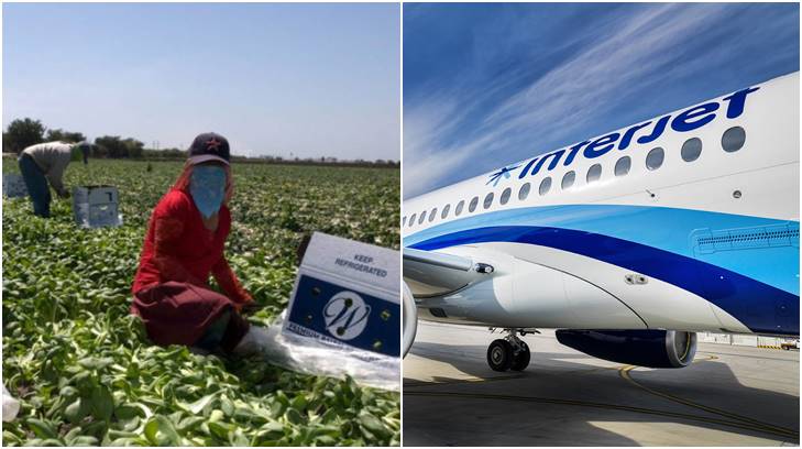 campos agricolas e interjet