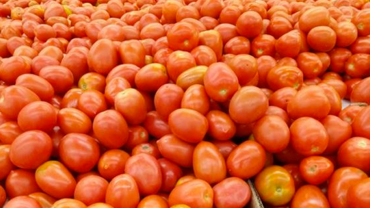 tomate superficie exportacion