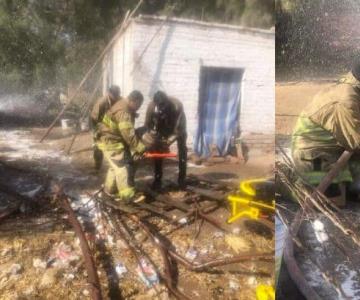 Etchojoa: bomberos rescatan a hombres tras ser atacados por abejas