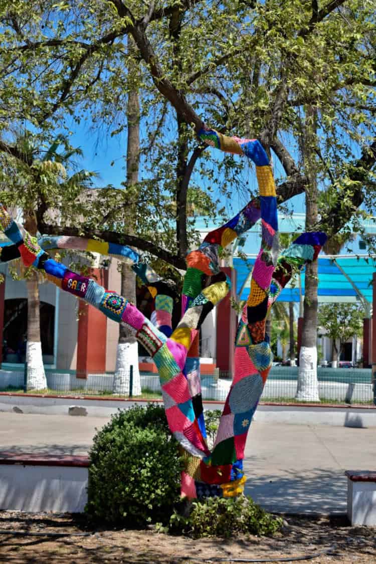 Celebran Día Internacional de la Sordoceguera en Navojoa