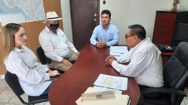 Dengue en Navojoa: iniciarán programa de descacharrización permanente