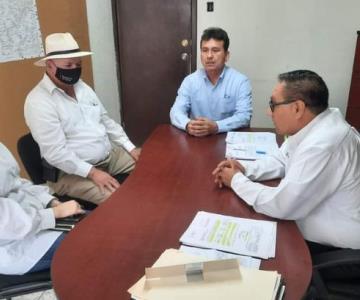 Dengue en Navojoa: iniciarán programa de descacharrización permanente