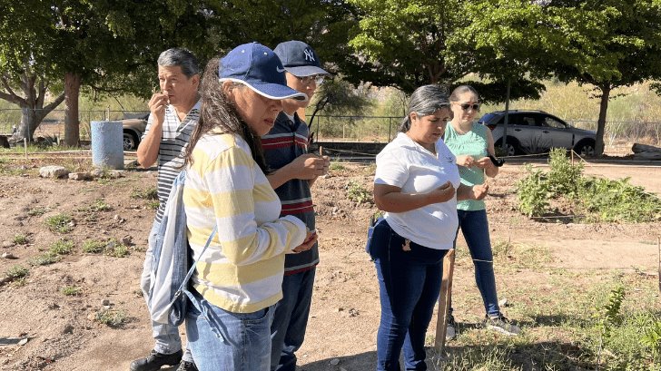 Árboles sagrados que habitan en La Sauceda