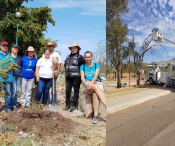Ayuntamiento coopera con ambientalistas para limpiar La Sauceda