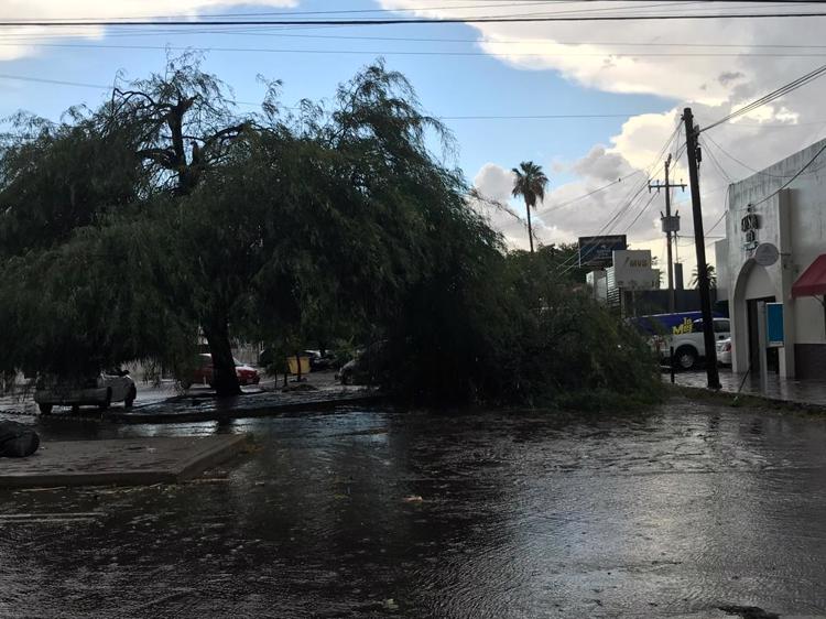 Los estragos que dejó la lluvia de este miércoles en Hermosillo