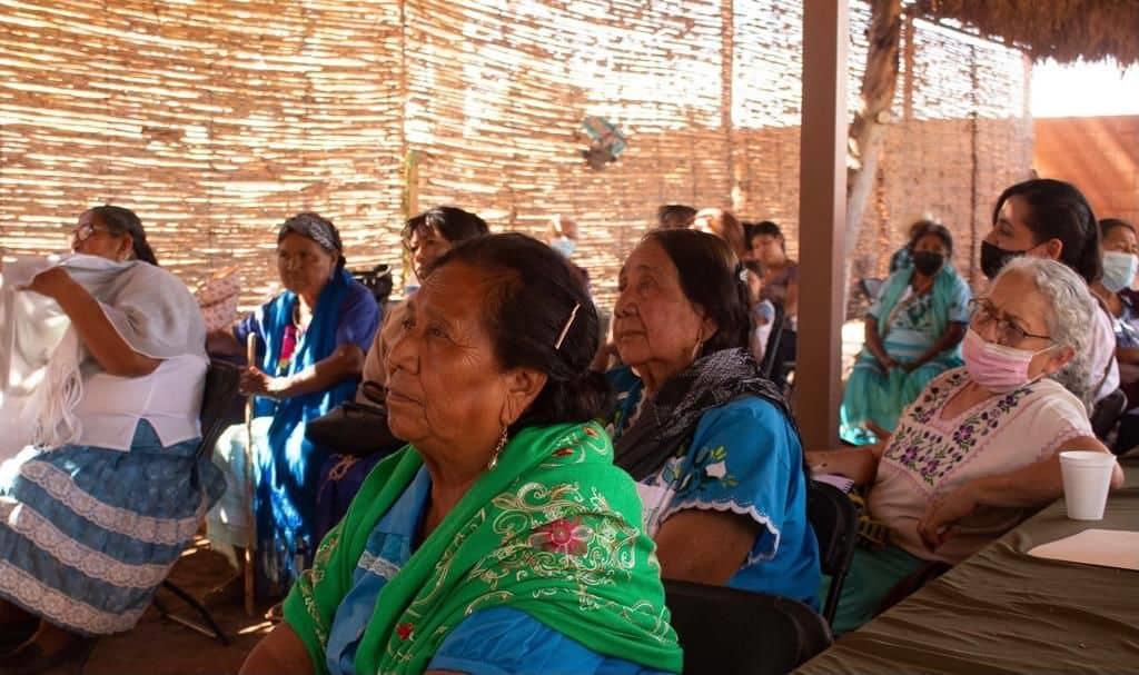 Curanderos yaquis comparten sus conocimientos ancestrales en herbolaria