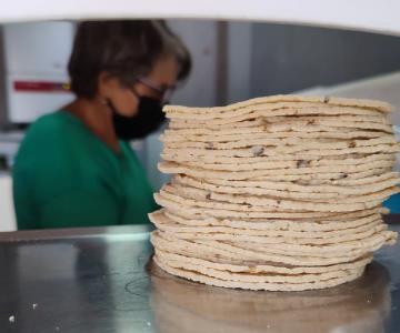 Tortilla de maíz llega a 28 pesos el kilo a causa de la inflación