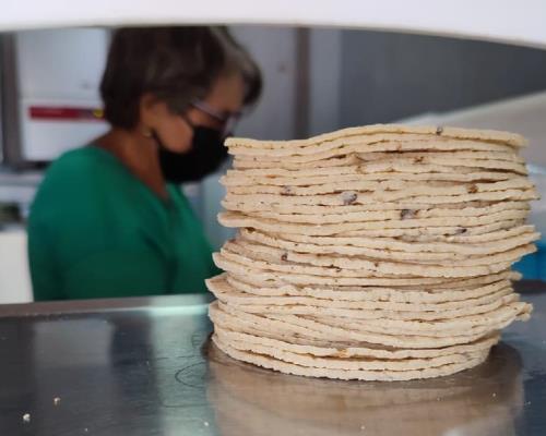 Tortilla de maíz llega a 28 pesos el kilo a causa de la inflación