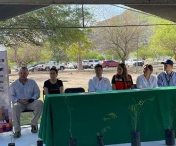 Reforestación de Hermosillo: arrancan jornada en Hacienda de la Flor