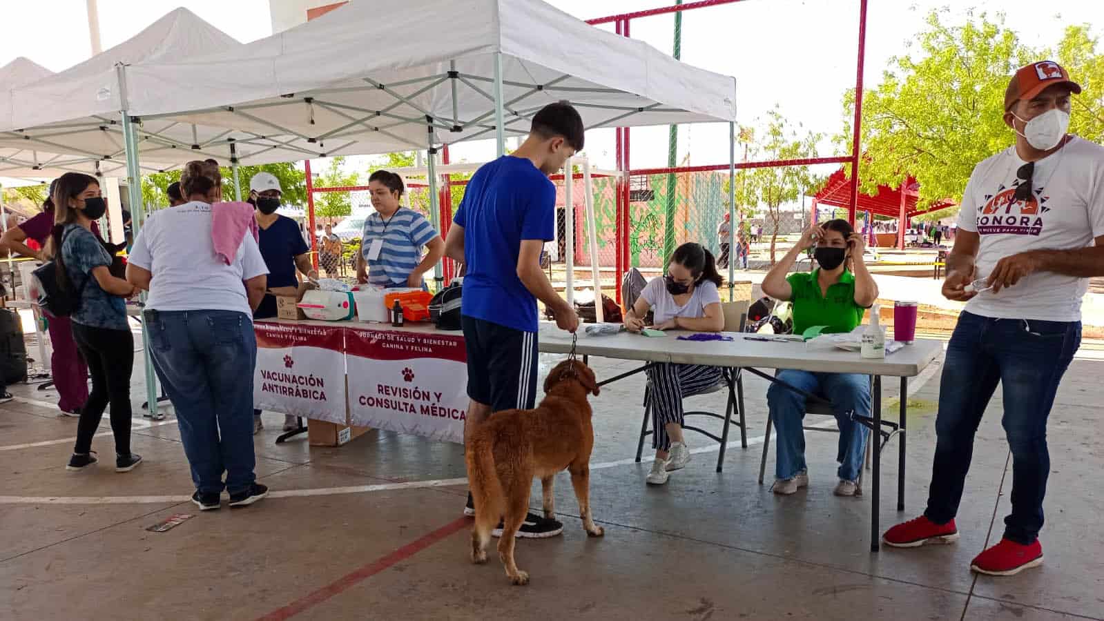 Realizan jornada de bienestar y salud canina en la colonia La Cholla