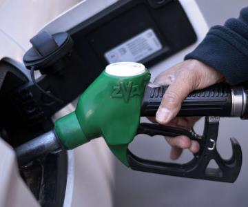 Se mantiene el subsidio del IEPS a las gasolinas: Profeco
