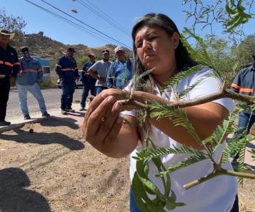 Amenazan de muerte a ambientalista de La Sauceda