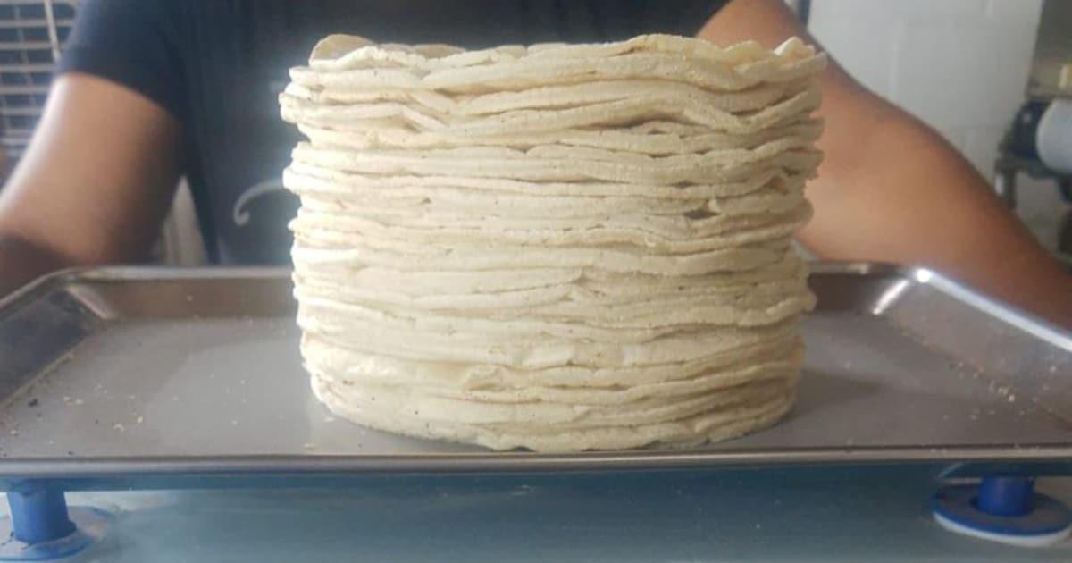 Cajemenses podrían adquirir tortilla aún más cara en agosto