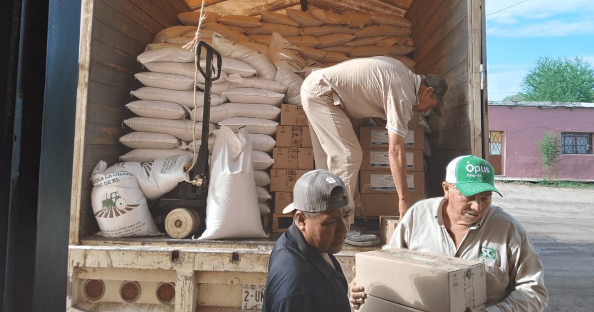Sader entrega sorgo a productores de Guaymas