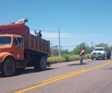 Anuncian programa emergente de bacheo para carretera Navojoa-Álamos