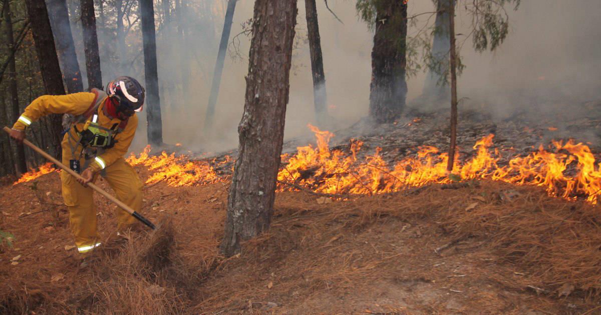 Incendio forestal en Nuevo León daña 15 hectáreas de vegentación