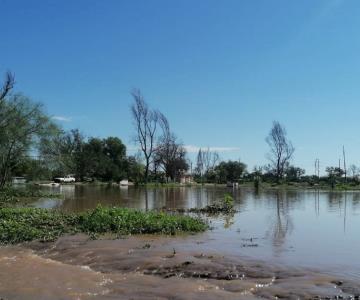 Agua del Río Mayo está contaminada