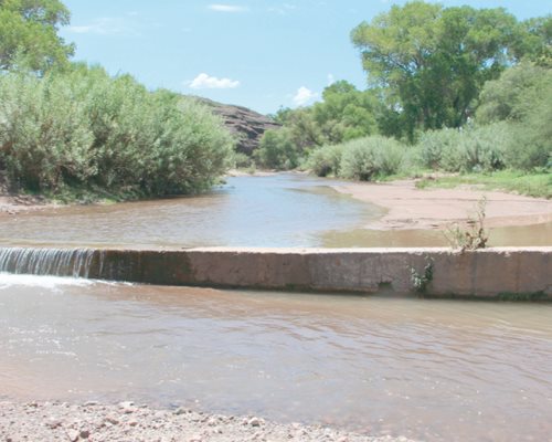 Afectados por derrame en Río Sonora quintuplican sus gastos