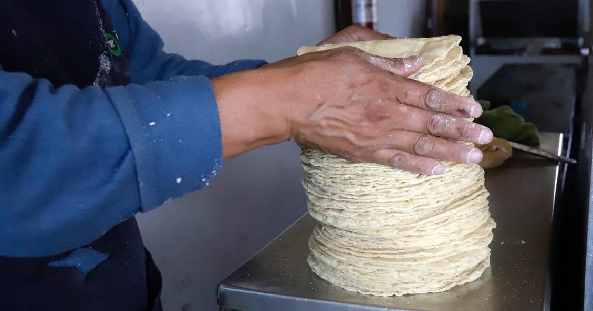 Alertan sobre tortillas pirata en Durango, Coahuila y Sinaloa