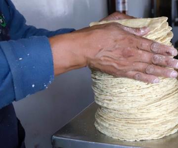 Alertan sobre tortillas pirata en Durango, Coahuila y Sinaloa