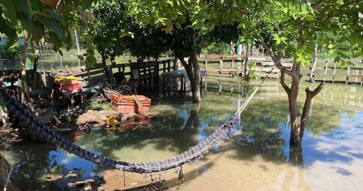 Vecinos de Tetanchopo nadan en aguas negras desde hace 15 días