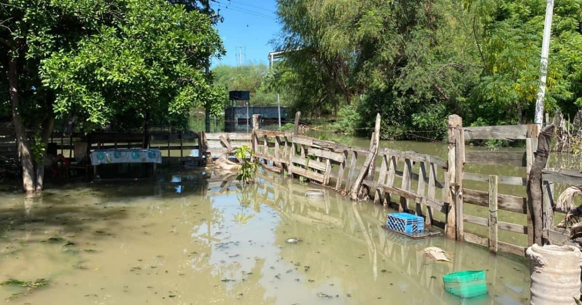 Navojoa: inician retiro de aguas contaminadas en colonia Tetanchopo