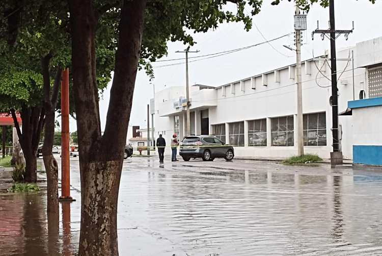 Navojoa: Hombre roba auto y asalta banco; hiere a balazos a guardia