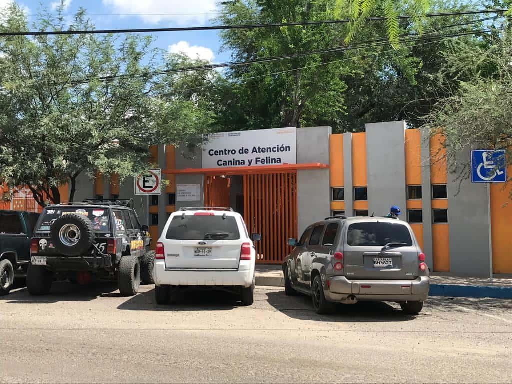 Renuncia titular del Centro de Atención Canina y Felina