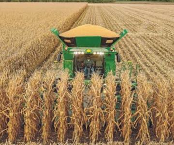 Productores de trigo ven panorama desalentador