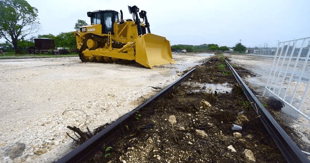 Localizan restos óseos en un cenote cerca de las obras del Tren Maya