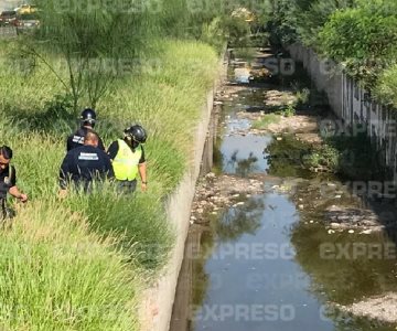 Falsa alarma: dan por negativa la búsqueda en el canal Lázaro Cárdenas