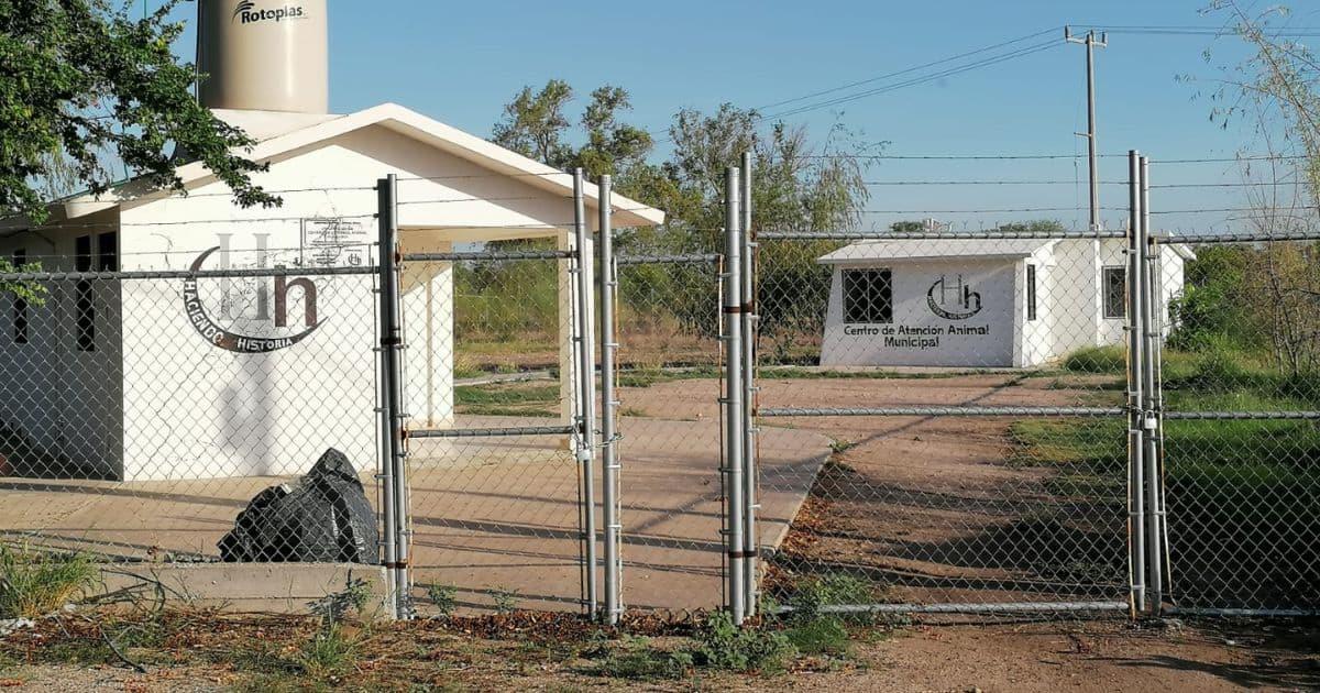 Se meten a robar Centro de Atención Animal en Navojoa