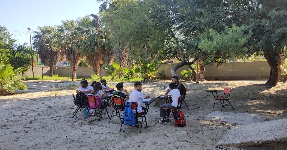 A falta de aires acondicionados, alumnos toman clases bajo un árbol