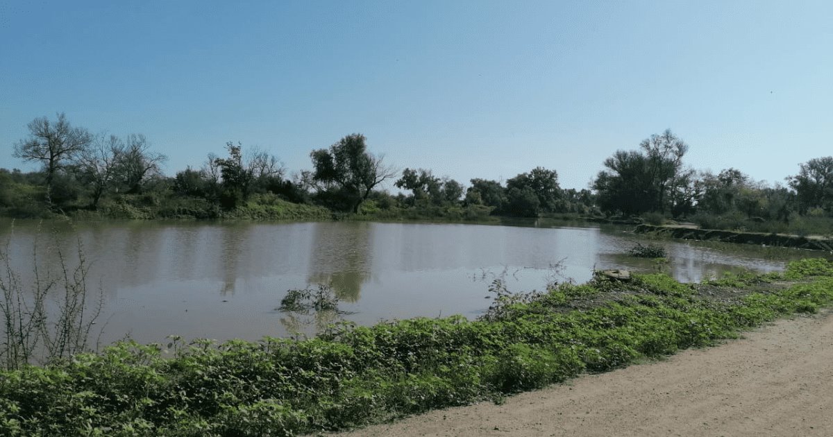 Multarán a quienes se metan a bañar al Río Mayo