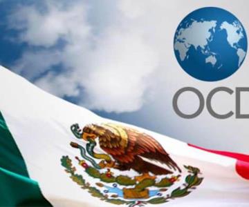México ocupa absorber inactividad laboral: OCDE
