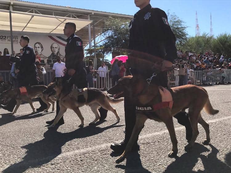 Así se vivió el desfile cívico por el 16 de septiembre en Hermosillo