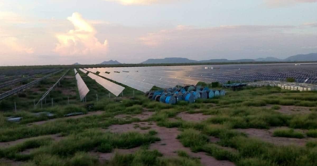 Parque Fotovoltaico de Navojoa se encuentra en total abandono