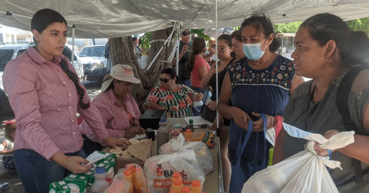 Banco de Alimentos apoya con despensas a familias de Lomas de Madrid
