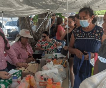 Banco de Alimentos apoya con despensas a familias de Lomas de Madrid