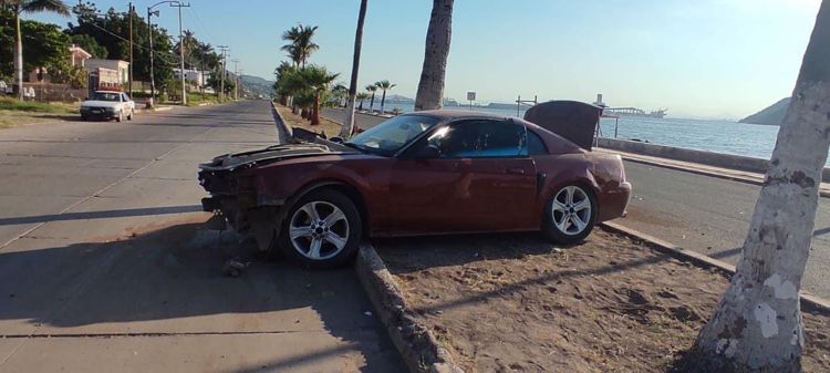 Abandonan deportivo con placas de la etnia Yaqui tras chocar contra palmera