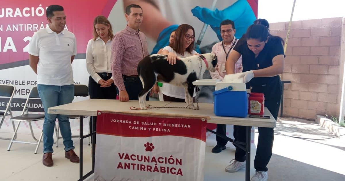 Inicia campaña de vacunación antirrábica en Hermosillo