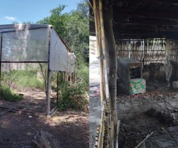 Saquean mariposario y cocina tradicional indígena del Júpare