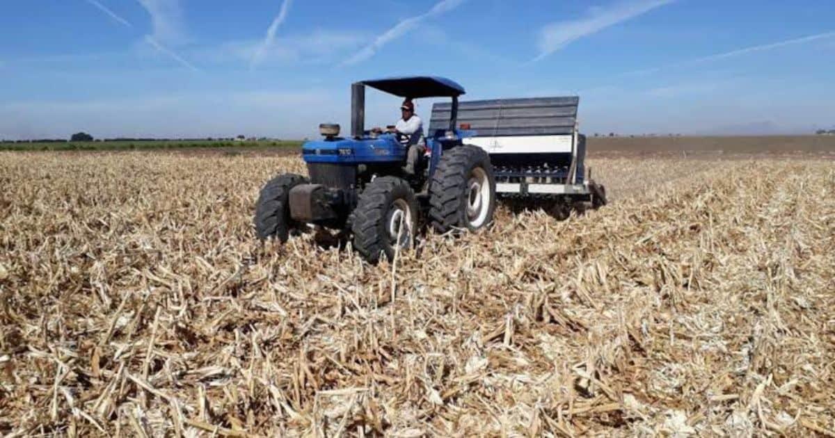 Buena captación en presas levanta el ánimo de productores al sur de Sonora