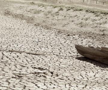 Disminuyen municipios con sequía en Sonora